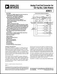 Click here to download AD9873 Datasheet