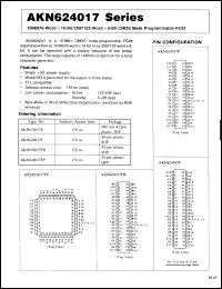 Click here to download AKN624017FP Datasheet