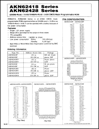 Click here to download AKN62428FP Datasheet