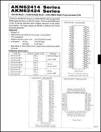 Click here to download AKN62424FP Datasheet