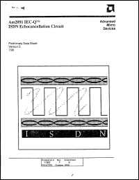 Click here to download AM2091JCB Datasheet