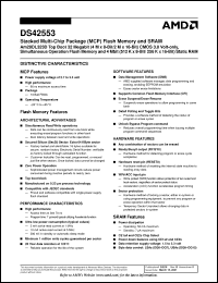 Click here to download DS42553 Datasheet