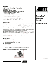 Click here to download AT77SMO101BCB02VKE Datasheet