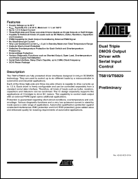 Click here to download T6829-T3S Datasheet