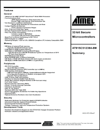 Click here to download AT91SC512384-8M Datasheet