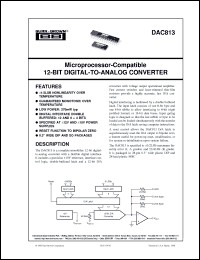 Click here to download DAC813 Datasheet