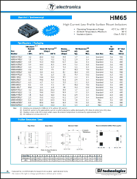 Click here to download HM65H100LFTR13 Datasheet