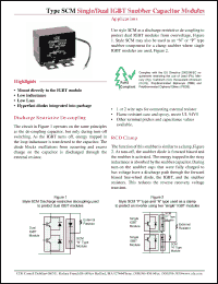 Click here to download SCM205K601H2P29-F Datasheet