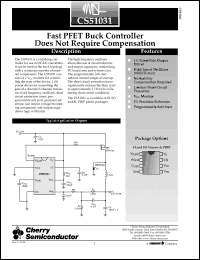 Click here to download CS51031 Datasheet