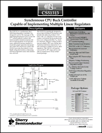 Click here to download CS51313 Datasheet