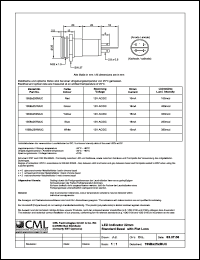 Click here to download 195BX251MUC Datasheet
