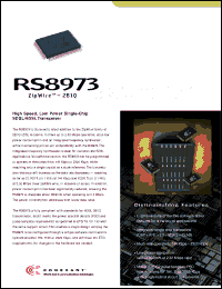 Click here to download RS8973 Datasheet