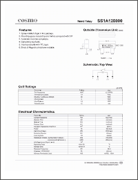 Click here to download SS1A120000 Datasheet