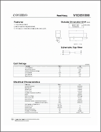Click here to download V1C051000 Datasheet