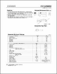 Click here to download CG1A030000 Datasheet