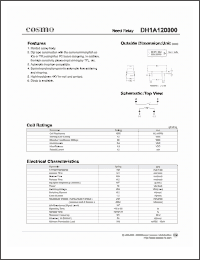 Click here to download DH1A120000 Datasheet
