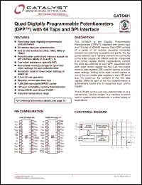 Click here to download CAT5401WI-50 Datasheet