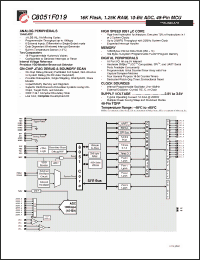 Click here to download C8051F019 Datasheet