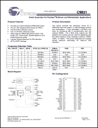 Click here to download C9851BY Datasheet