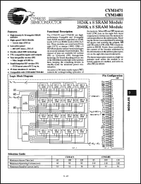 Click here to download CYM1481PS100C Datasheet