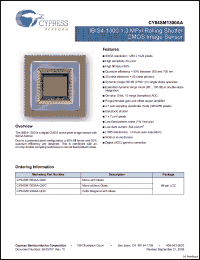 Click here to download CYII4SD1300AA-QDC Datasheet