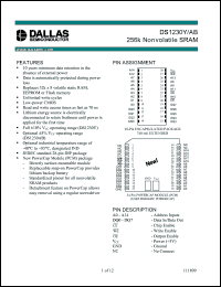 Click here to download DS1230ABP-100-IND Datasheet