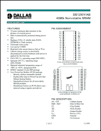 Click here to download DS1250ABP-100-IND Datasheet