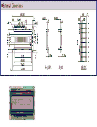 Click here to download DV16100 Datasheet