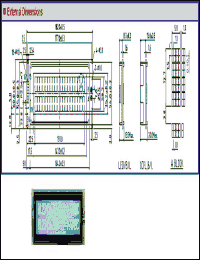 Click here to download DV20211 Datasheet