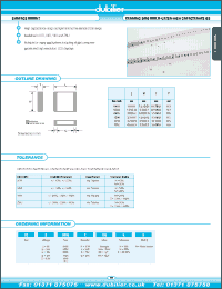 Click here to download DSB0603R105ZN Datasheet