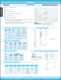 Click here to download DRA21W102CATR Datasheet