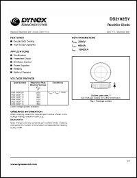 Click here to download DS2102SY19 Datasheet