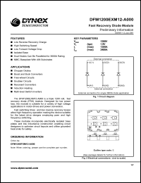 Click here to download DFM1200EXM12-A000 Datasheet