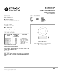 Click here to download DCR1021SF Datasheet