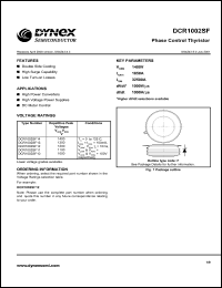 Click here to download DCR1002SF Datasheet