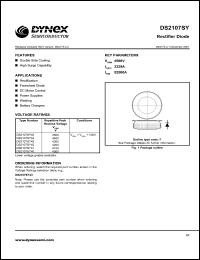 Click here to download DS2107SY Datasheet