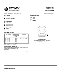 Click here to download DS2101SY Datasheet