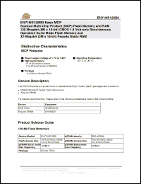 Click here to download EN29NS128B0-7DW Datasheet