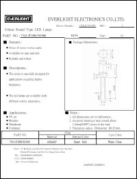 Click here to download 7343-2USRC-S1060 Datasheet