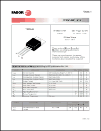 Click here to download FS1009BH Datasheet