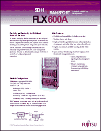 Click here to download FLX600 Datasheet