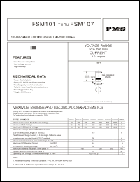 Click here to download FSM101 Datasheet