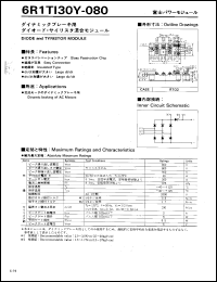 Click here to download 6R1YI30Y-080 Datasheet
