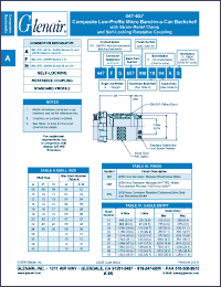 Click here to download 447FS657XW24 Datasheet