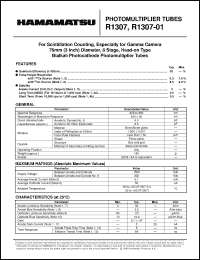 Click here to download R1307 Datasheet