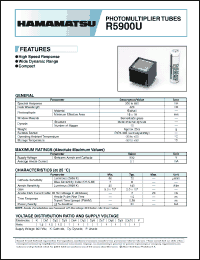 Click here to download R5900U Datasheet