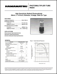 Click here to download R6925 Datasheet