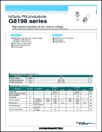 Click here to download G8198-02 Datasheet
