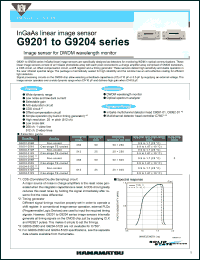Click here to download G9203-256R Datasheet