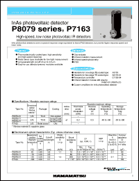 Click here to download P8079-01 Datasheet